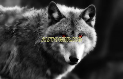 Я.