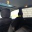 Mercedes-Benz ML320 2