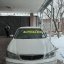 Nissan Cefiro 0