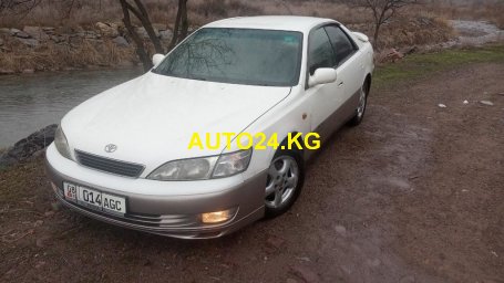 Toyota Windom