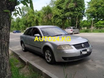 Volkswagen Passat B5+ Volkswagen Passat B5+