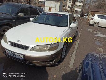 Toyota Windom