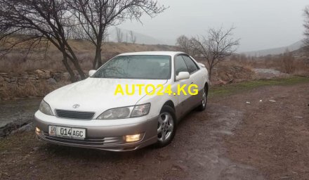 Toyota Windom