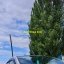 Honda Fit Aria