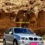 BMW X5 e53