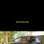 Avensis