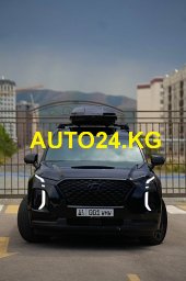 Hyundai palisade Hyundai palisade