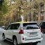 Lexus GX 3