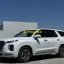 Hyundai palisade 0