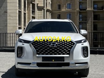 Hyundai palisade Hyundai palisade