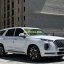 Hyundai palisade 3
